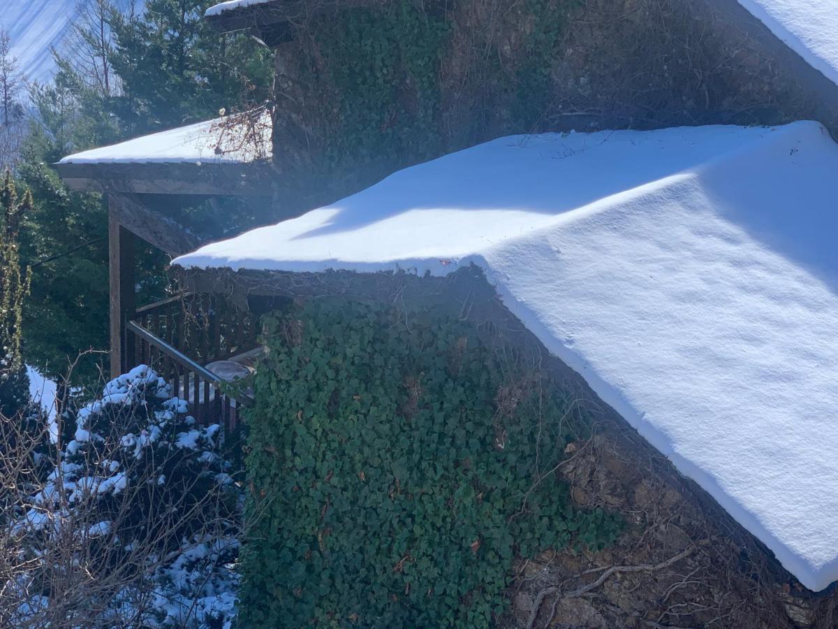 Casa Rural Pirineu Neva מראה חיצוני תמונה